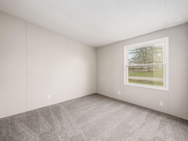 unfurnished room featuring carpet and a textured ceiling