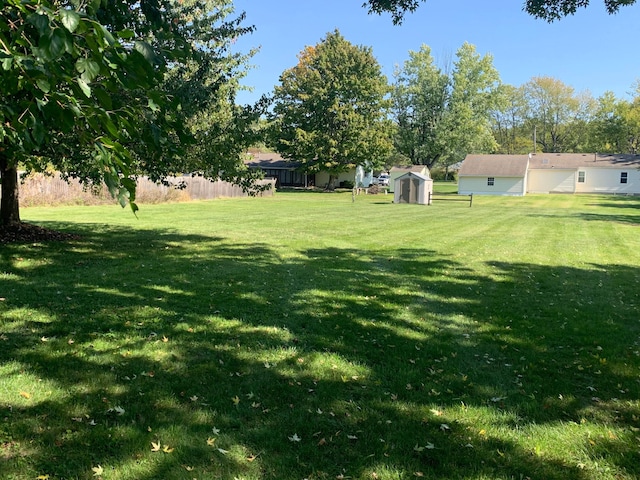 view of yard with a storage shed