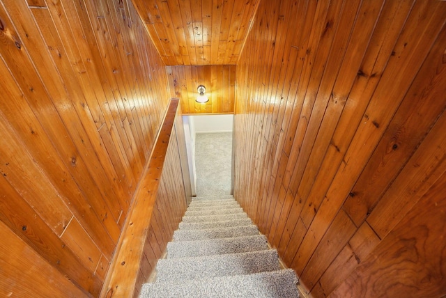 stairs featuring carpet floors and wooden walls