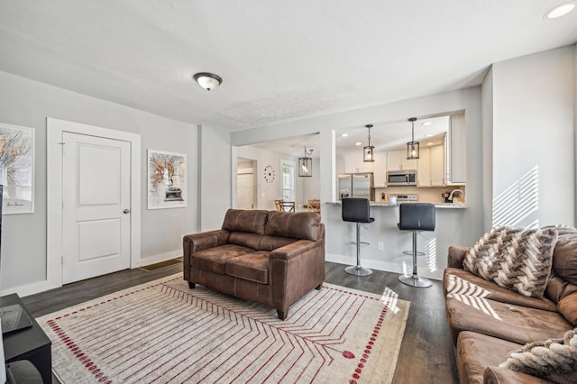 living room featuring dark wood-type flooring