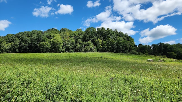 34978 Sr 681 Rd Unit Tract 17Albany, Woods Albany, OH 45710 - photo 1