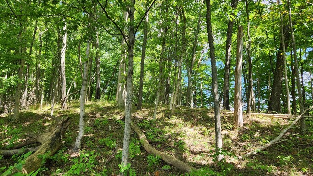 34978 Sr 681 Rd Unit Tract 17Albany, Woods Albany, OH 45710 - photo 2
