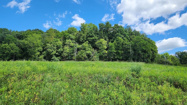 34978 Sr 681 Rd Unit Tract 17Albany, Woods Albany, OH 45710