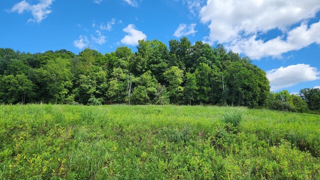 34978 Sr 681 Rd Unit Tract 17Albany, Woods Albany, OH 45710 - photo 10