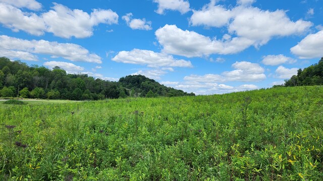 34978 Sr 681 Rd Unit Tract 17Albany, Woods Albany, OH 45710 - photo 11