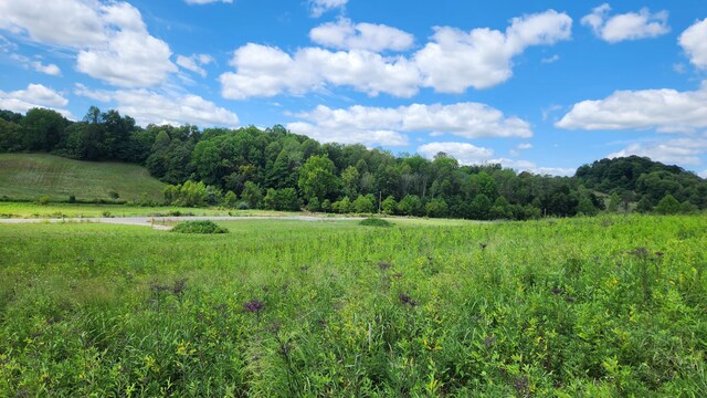 34978 Sr 681 Rd Unit Tract 17Albany, Woods Albany, OH 45710 - photo 12