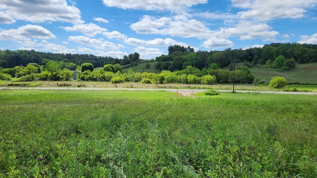 34978 Sr 681 Rd Unit Tract 17Albany, Woods Albany, OH 45710 - photo 13