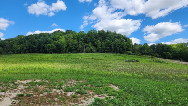 34978 Sr 681 Rd Unit Tract 17Albany, Woods Albany, OH 45710 - photo 15