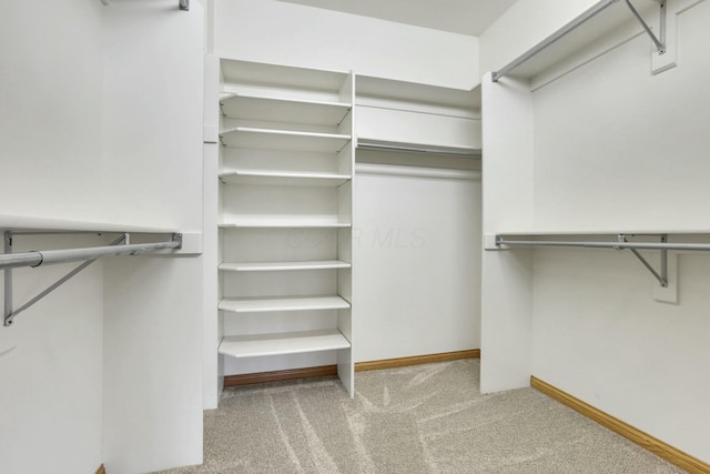 spacious closet with carpet flooring