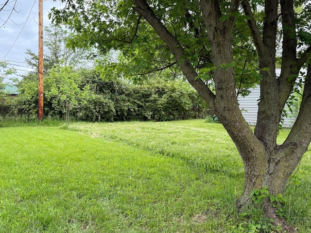 0 F Ave, Columbus, OH 43207