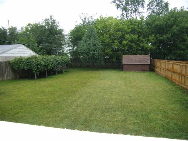 view of yard with a storage unit