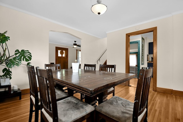 dining room featuring light hardwood / wood-style flooring, ceiling fan, and ornamental molding