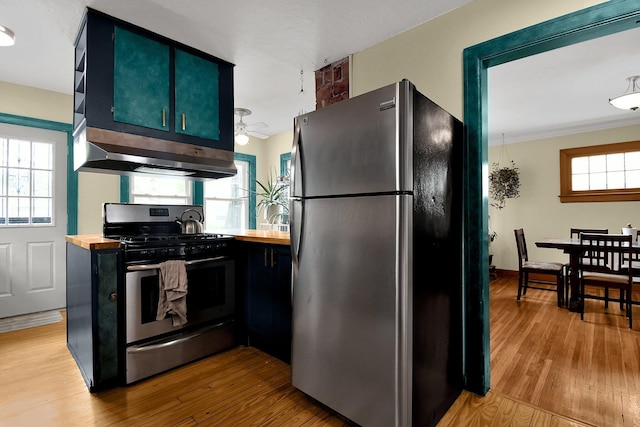 kitchen featuring plenty of natural light, appliances with stainless steel finishes, and light hardwood / wood-style flooring