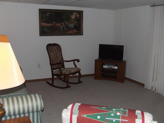 living area featuring carpet flooring