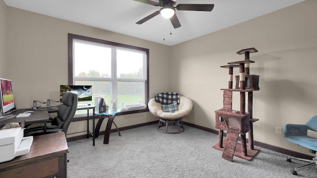 office featuring ceiling fan and light colored carpet