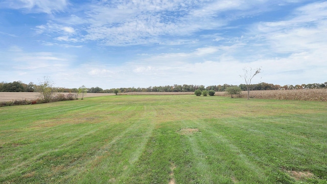 view of yard with a rural view