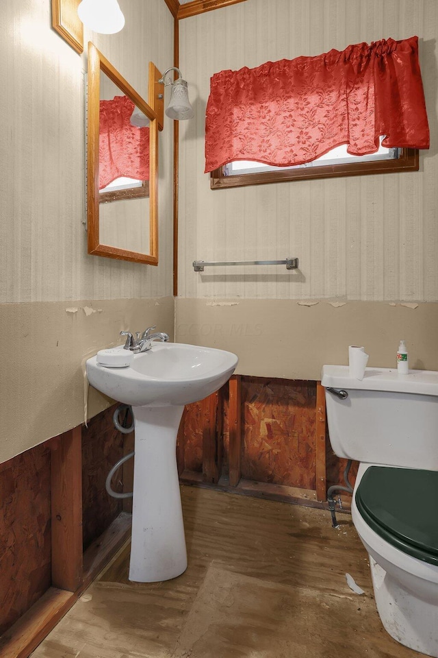 bathroom featuring toilet and wood-type flooring