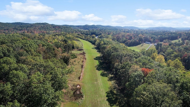 drone / aerial view with a mountain view