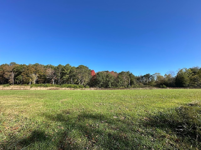 view of nature with a rural view