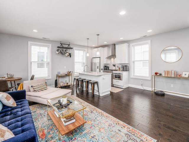 living room featuring dark hardwood / wood-style floors and sink