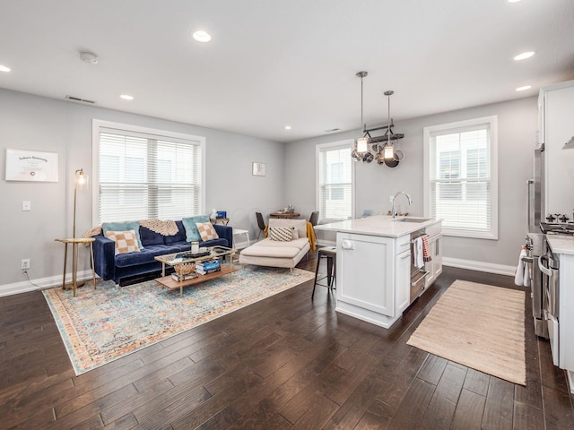 living room featuring dark hardwood / wood-style flooring and sink