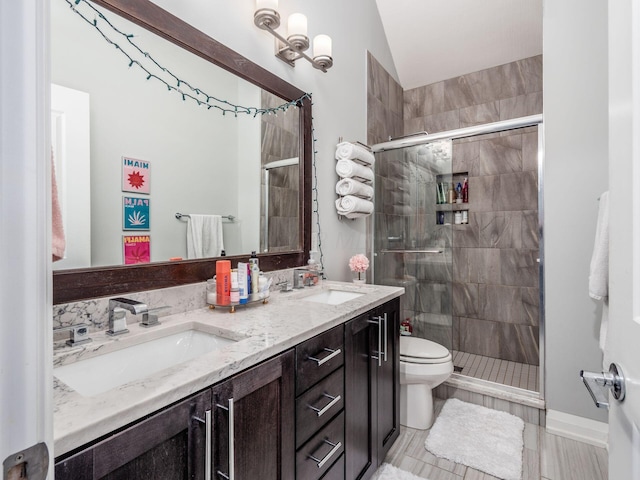 bathroom with vanity, an enclosed shower, lofted ceiling, and toilet