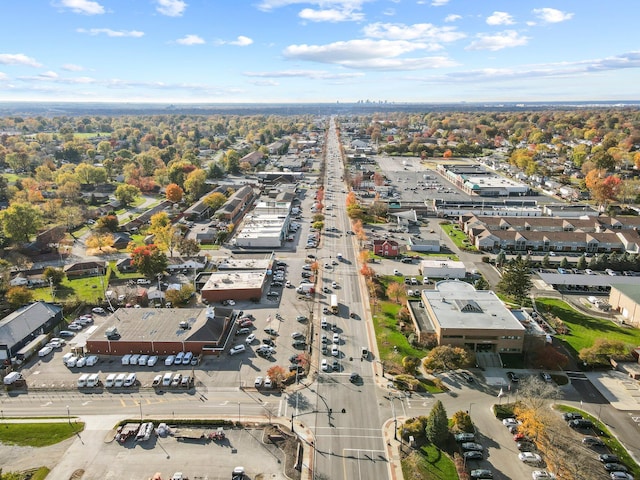 bird's eye view