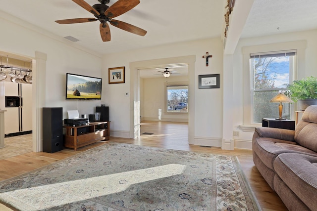 living room featuring ceiling fan and light wood-type flooring