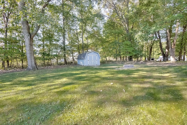 view of yard with a storage shed