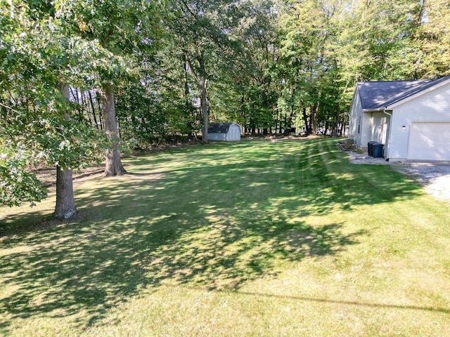 view of yard featuring a shed