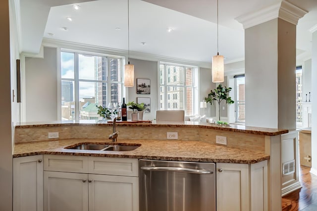 kitchen featuring dishwasher, a healthy amount of sunlight, and dark hardwood / wood-style flooring