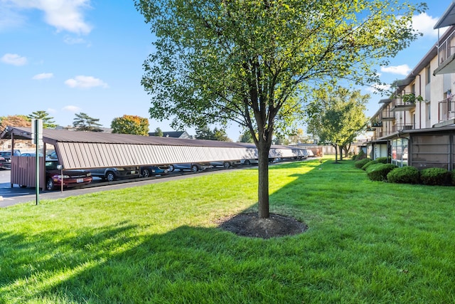 view of yard featuring a carport