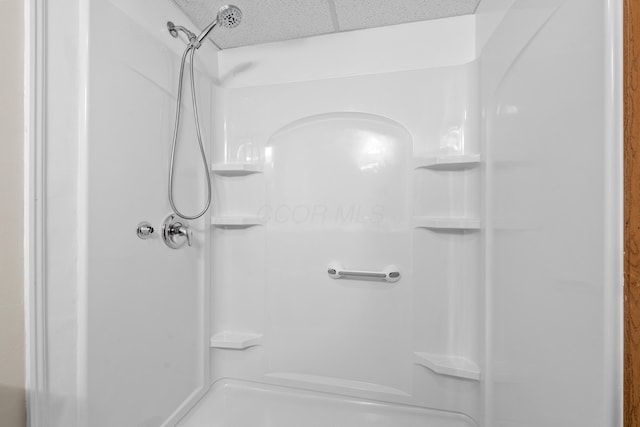 bathroom featuring a shower