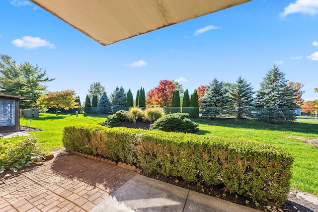 view of yard featuring a patio