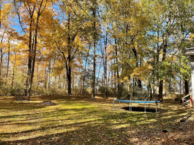 view of yard featuring a trampoline