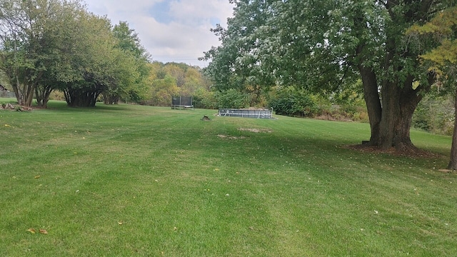 view of yard with a trampoline