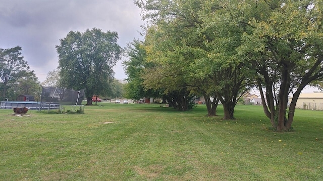 view of yard with a trampoline