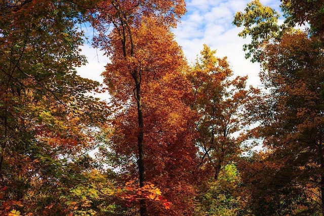 view of nature