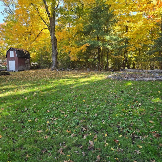 view of yard with a storage shed and an outbuilding