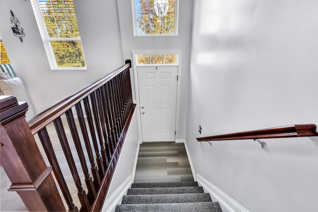 stairs featuring hardwood / wood-style flooring