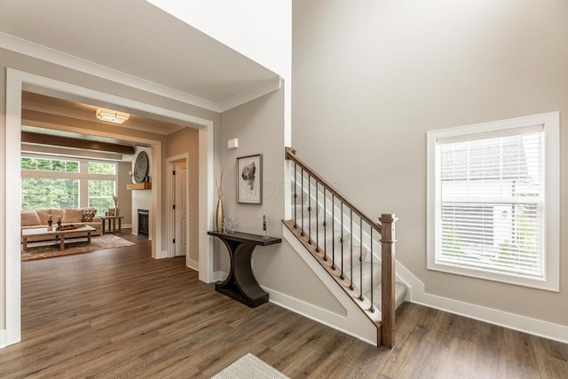 stairway with wood-type flooring and crown molding