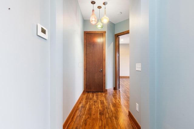 hall with a chandelier and hardwood / wood-style flooring