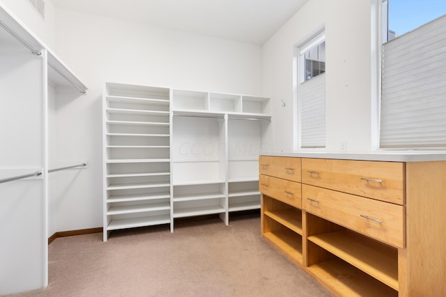 spacious closet featuring carpet