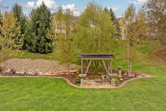 17311 Gambier Rd, Mount Vernon, OH 43050 - view of grassy yard