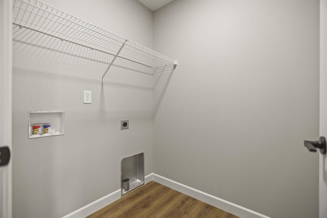 laundry room featuring electric dryer hookup, washer hookup, and dark hardwood / wood-style floors