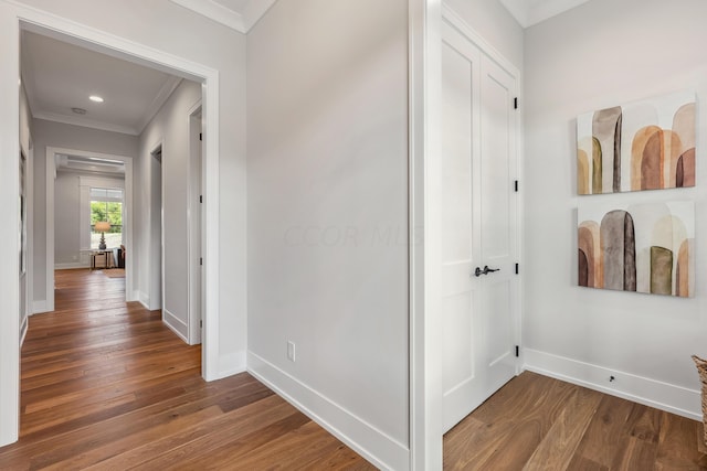 hall featuring crown molding and dark hardwood / wood-style floors