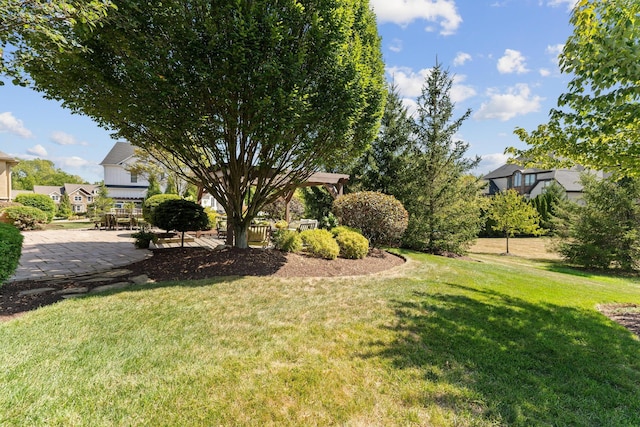 view of yard with a patio