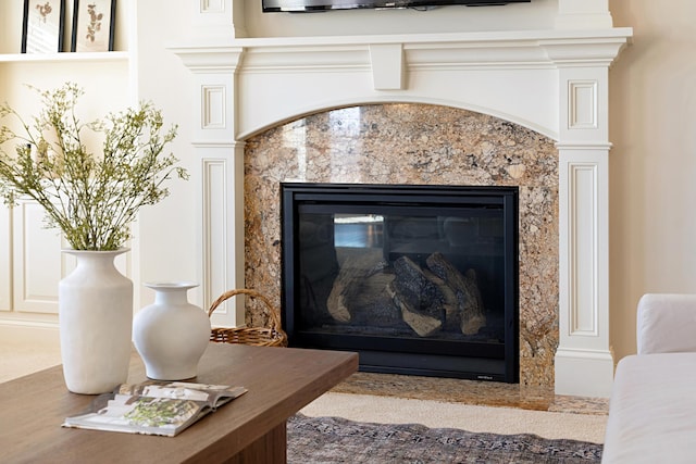 details with a high end fireplace