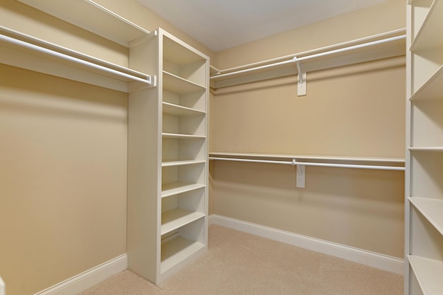 spacious closet with carpet floors