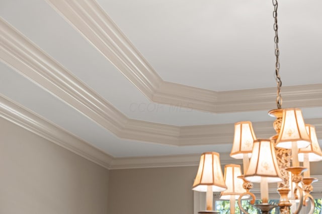 room details with a raised ceiling and ornamental molding